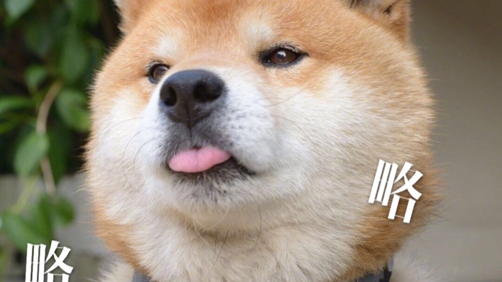 录像