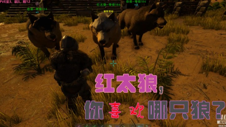 当红娘？？？红太狼，说吧！你想要哪只狼？