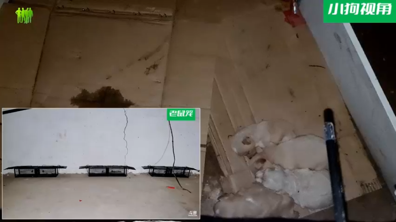 【2021-08-25 04点场】洪湖小肖：今天冲击SSS，拿奖励