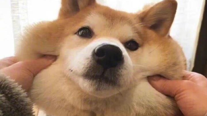 嘻嘻嘻