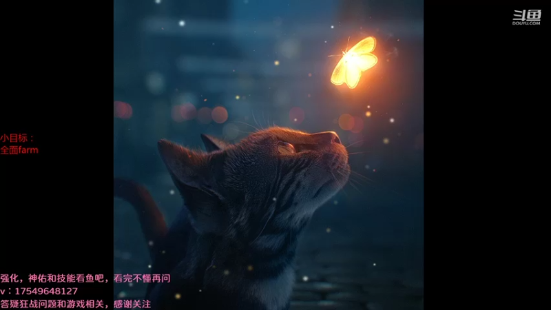 【2021-08-24 00点场】飞蛾小夏：飞蛾：国1，狂战