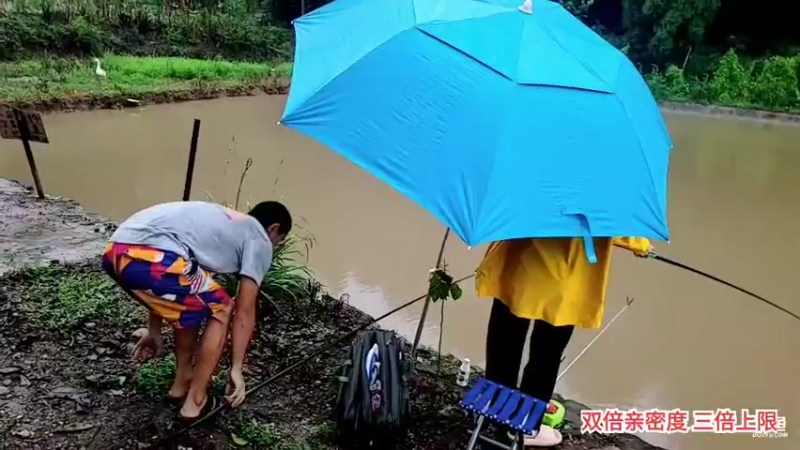 【2021-08-25 17点场】川味箩卜：2倍亲密度 · 3倍上限