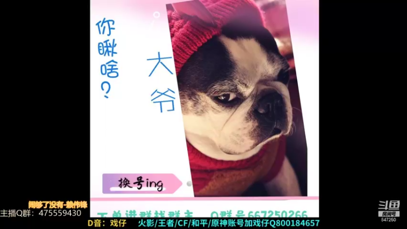 【2021-08-24 22点场】小马锅马杰：城市很大，余生很长，照顾好自己。