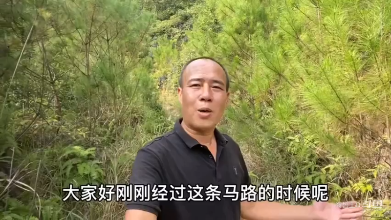 农村大叔经过路边时，发现儿时经常吃的“人参果”，普通话该叫啥