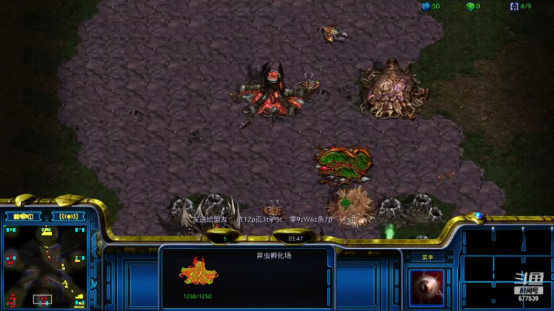【2021-08-26 13点场】永远的66：星际争霸重置版宏图娱乐