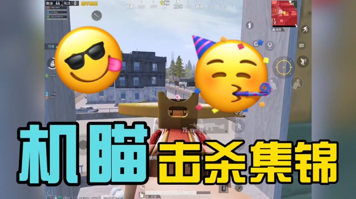 王牌机瞄钢枪6淘汰吃鸡