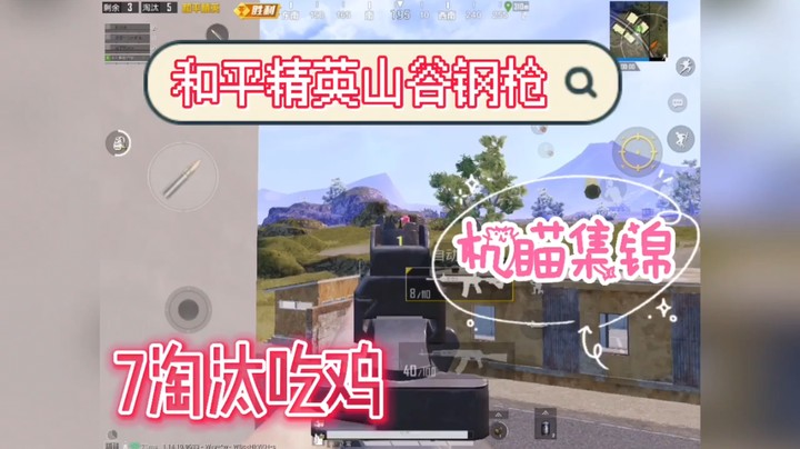 山谷钢枪机瞄淘汰集锦（2）