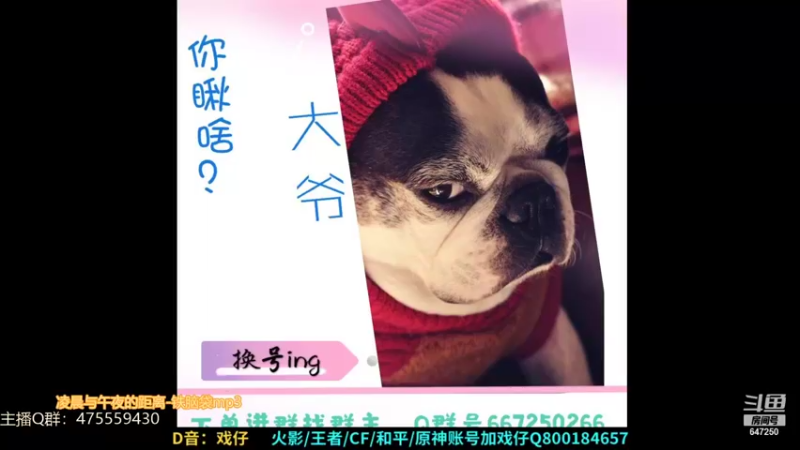 【2021-08-25 22点场】小马锅马杰：马锅：极境DAY4。