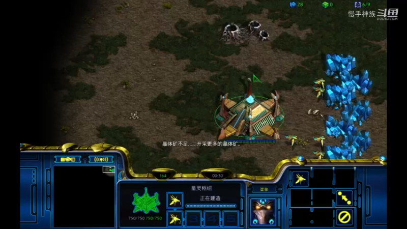 斗魂pvz大后期2021-08-26