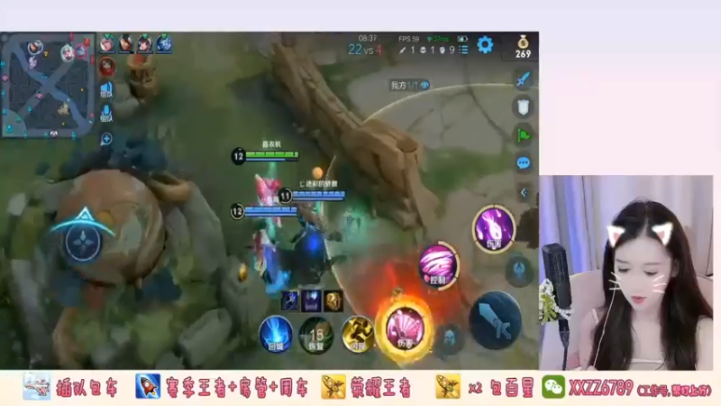 开张了，奈斯