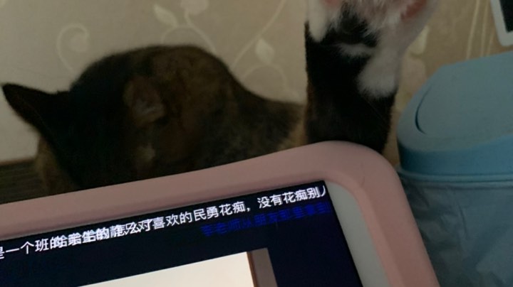 大乱斗