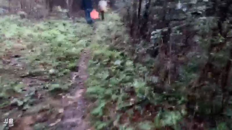 【2021-08-26 11点场】魅力生活i：11点见大家