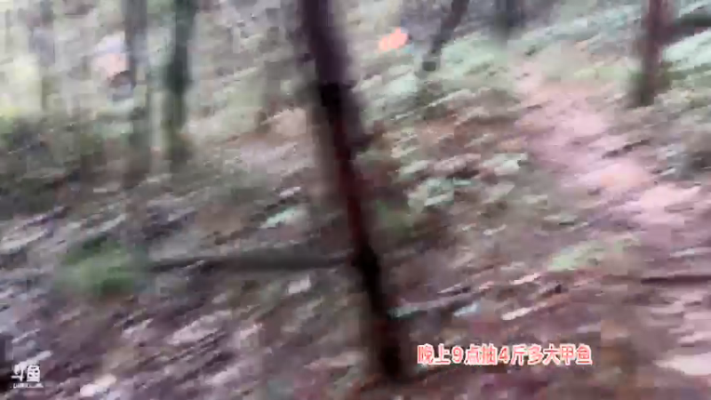 【2021-08-26 11点场】魅力生活i：上山弄山货