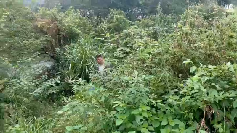 【2021-08-26 13点场】魅力生活i：11点见大家