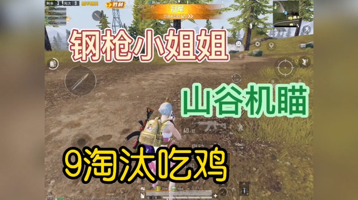 山谷王牌钢枪机瞄9淘汰吃鸡