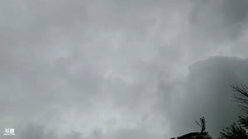 【2021-08-26 16点场】川味箩卜：2倍亲密度 · 3倍上限