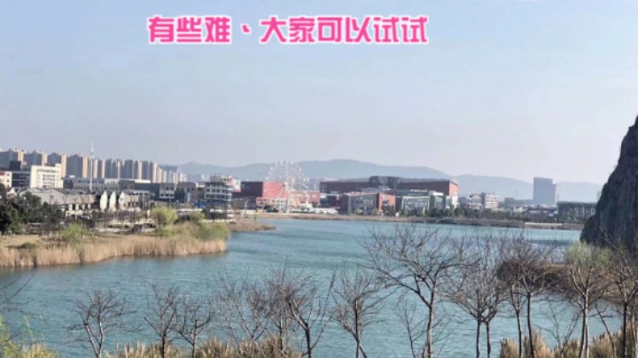 我上我也行：手鞠寻回大进化＋9