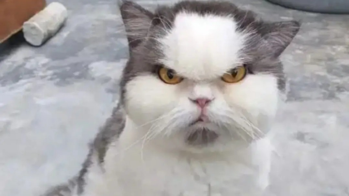 全服第一季沧海