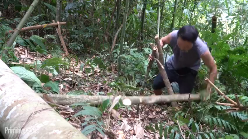 全集更新精剪版(2)E70竹屋升级，建造木屋【真人我的世界-空手发展-单人炼铁】