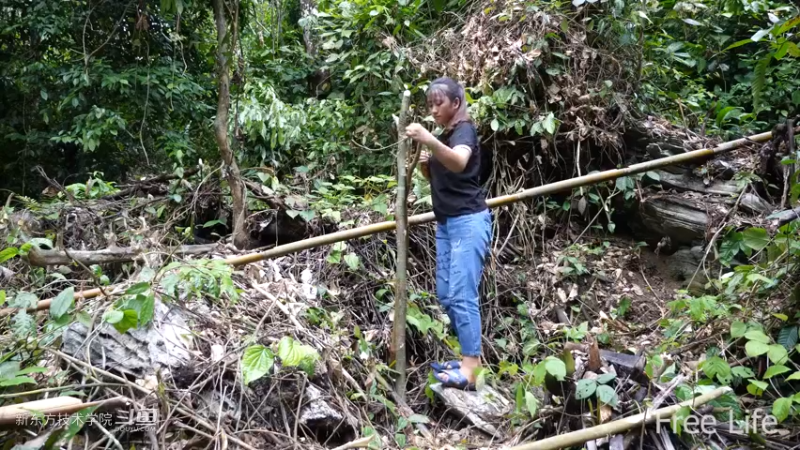 更新1季01荒野淋雨房14妹子独自深入荒野隐居修仙,建设世外桃源投个币吧
