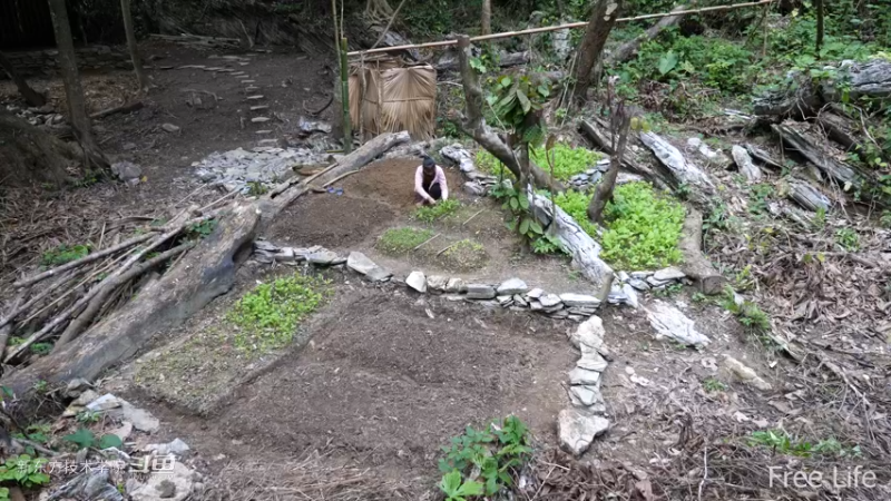 更新1季04田园生活开垦菜园3妹子独自深入荒野隐居修仙,建设世外桃源投个币吧