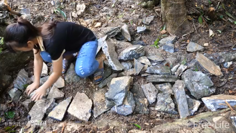 更新1季01荒野淋雨房3妹子独自深入荒野隐居修仙,建设世外桃源投个币吧