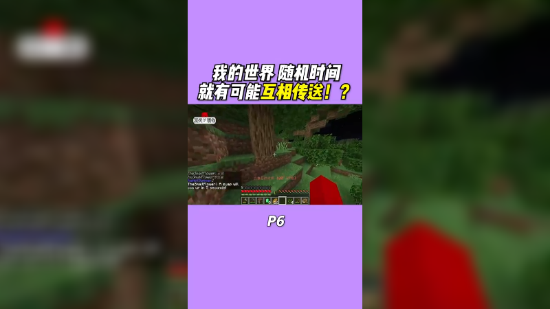 猜猜最后谁赢了！！