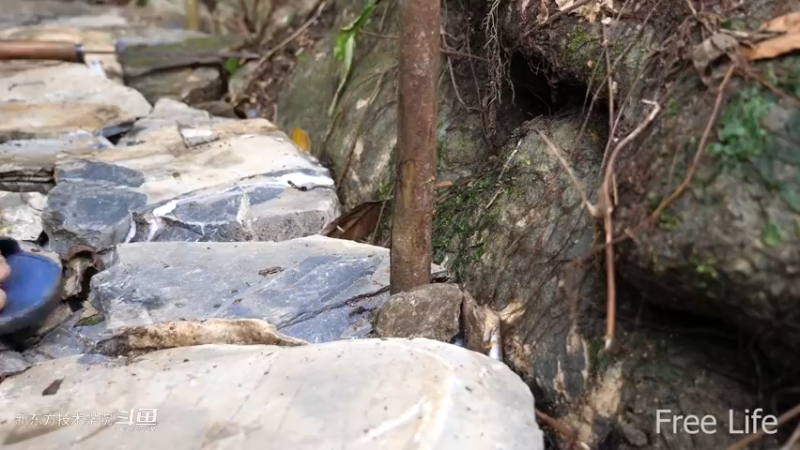 更新1季01荒野淋雨房9妹子独自深入荒野隐居修仙,建设世外桃源投个币吧