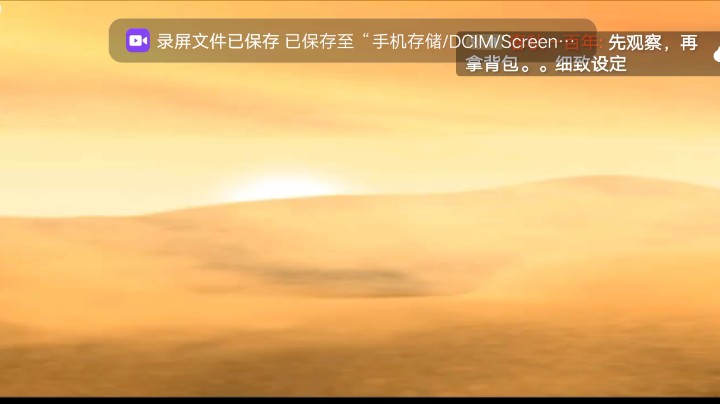 PS1经典，老古墓巅峰，最后的启示。沙漠里面的两个人。