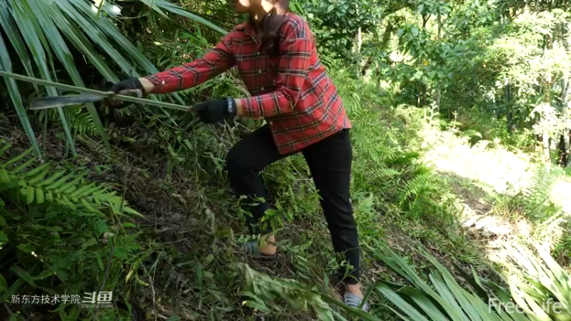 更新1季02小姐姐宅基地15妹子独自深入荒野隐居修仙,建设世外桃源投个币吧