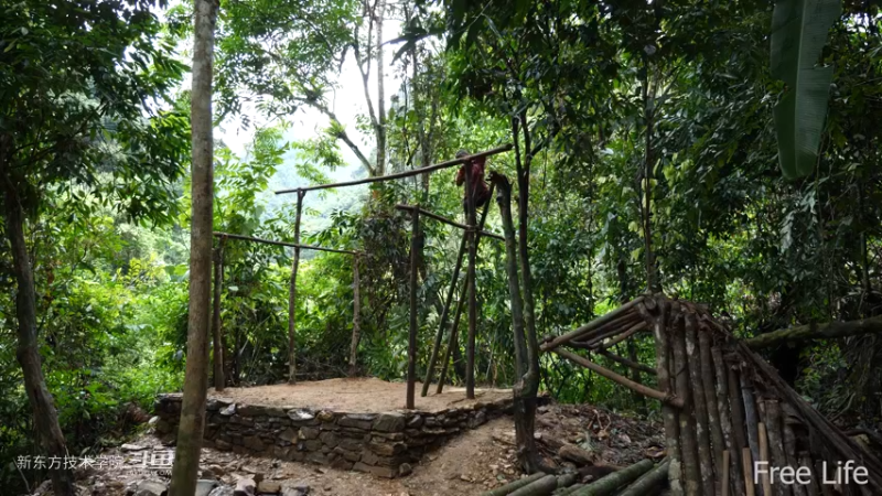 更新1季02小姐姐宅基地11妹子独自深入荒野隐居修仙,建设世外桃源投个币吧