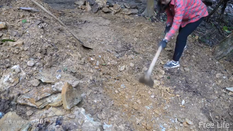 更新1季02小姐姐宅基地1妹子独自深入荒野隐居修仙,建设世外桃源投个币吧