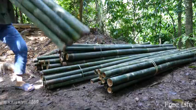 更新1季03农村石板地制作7妹子独自深入荒野隐居修仙,建设世外桃源投个币吧