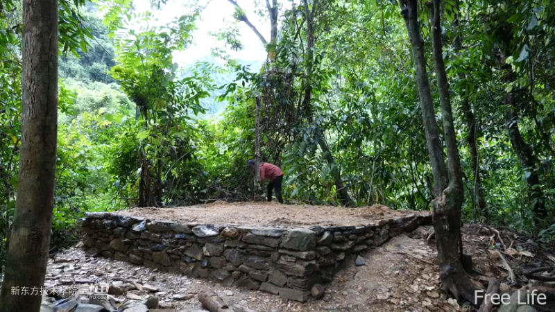 更新1季02小姐姐宅基地9妹子独自深入荒野隐居修仙,建设世外桃源投个币吧