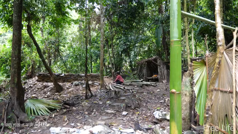 更新1季02小姐姐宅基地8妹子独自深入荒野隐居修仙,建设世外桃源投个币吧