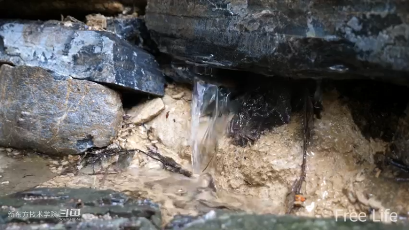 更新1季01荒野淋雨房20妹子独自深入荒野隐居修仙,建设世外桃源投个币吧