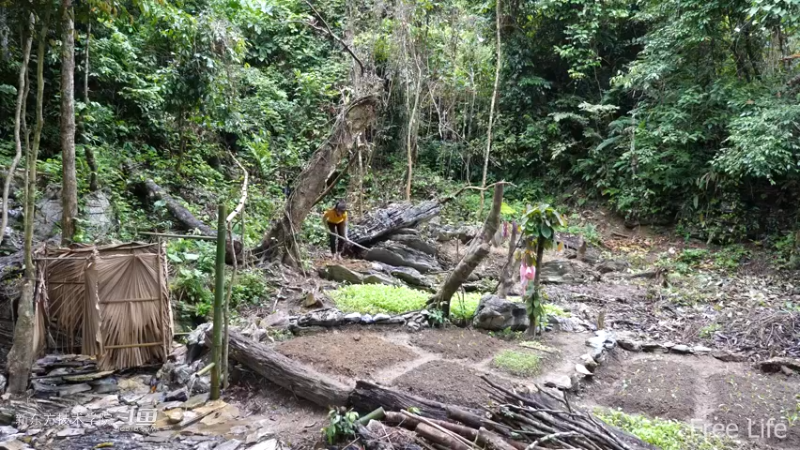 更新1季04田园生活开垦菜园8妹子独自深入荒野隐居修仙,建设世外桃源投个币吧
