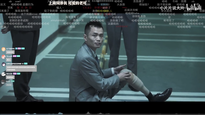 我在斗鱼看菠萝赛东直播二次元