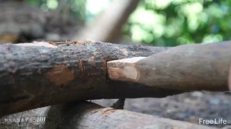 更新1季05制作置物架&淋yu11妹子独自深入荒野隐居修仙,建设世外桃源投个币吧