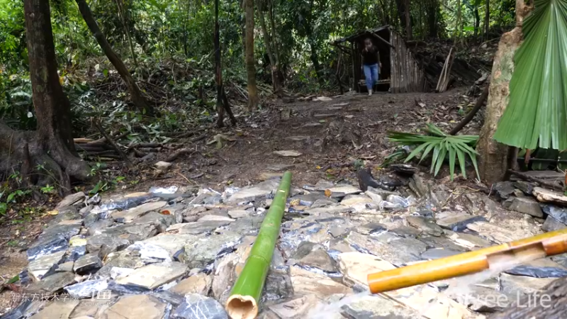 更新1季01荒野淋雨房15妹子独自深入荒野隐居修仙,建设世外桃源投个币吧