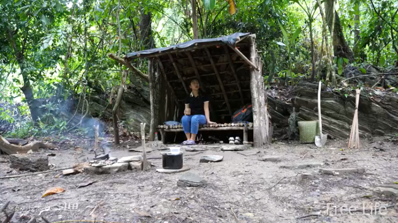 更新1季01荒野淋雨房1妹子独自深入荒野隐居修仙,建设世外桃源投个币吧