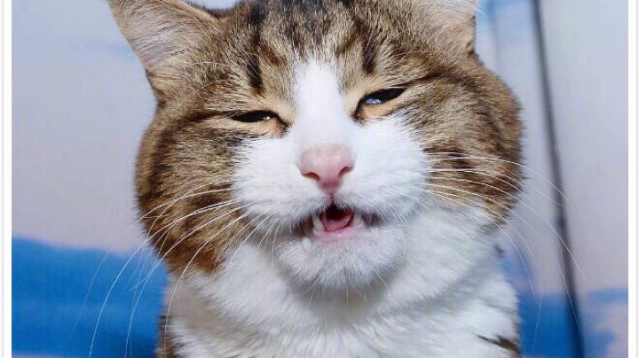 ～