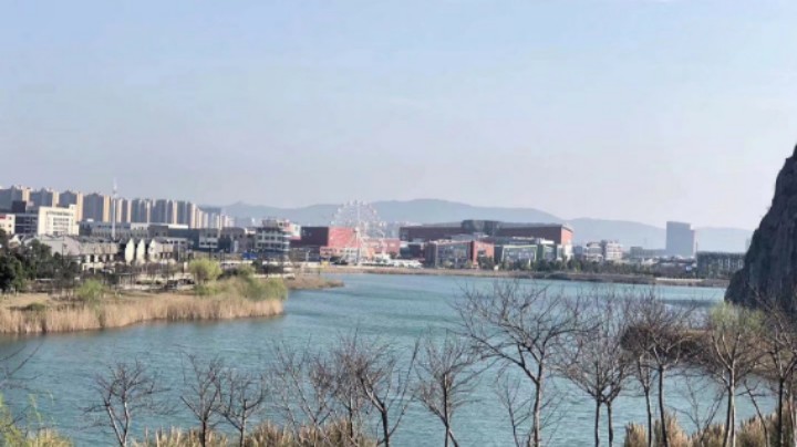 我上我也行：手鞠寻回大进化＋剩余9