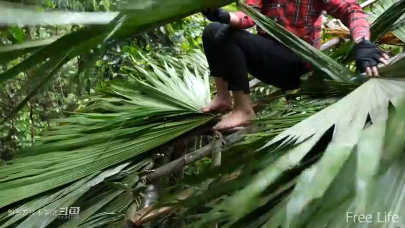 更新1季02小姐姐宅基地18妹子独自深入荒野隐居修仙,建设世外桃源投个币吧