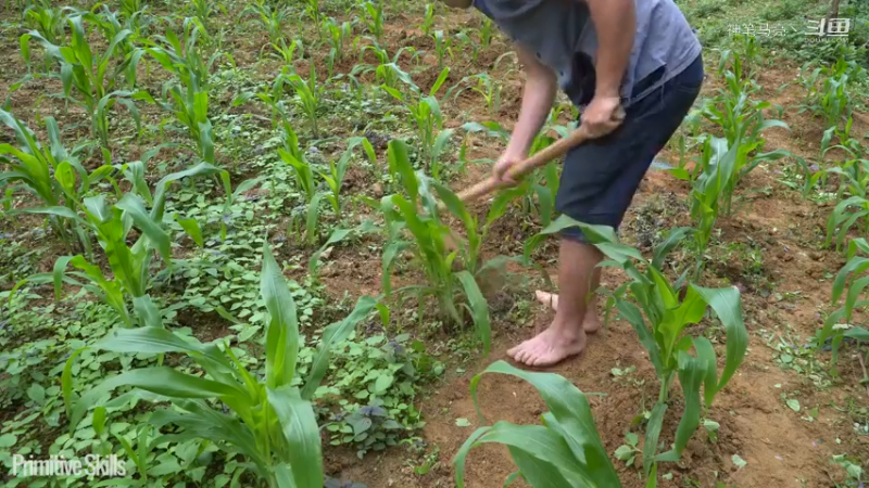 全集更新精剪版(13)E67锻造锄头种植玉米【真人我的世界-空手发展-单人炼铁】