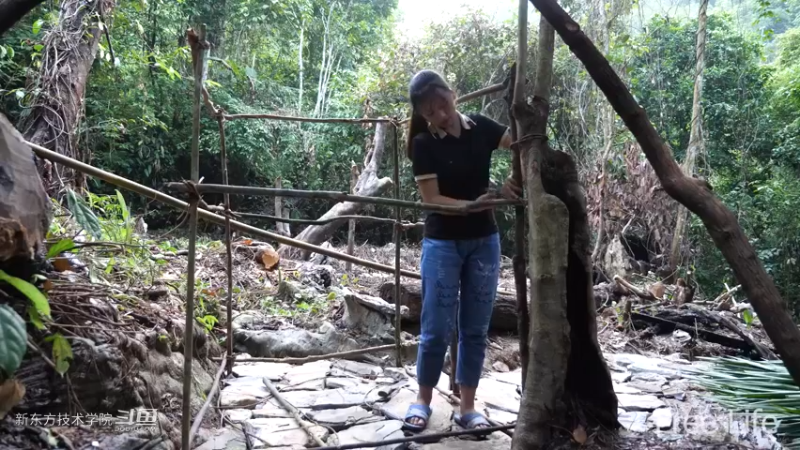 更新1季01荒野淋雨房10妹子独自深入荒野隐居修仙,建设世外桃源投个币吧