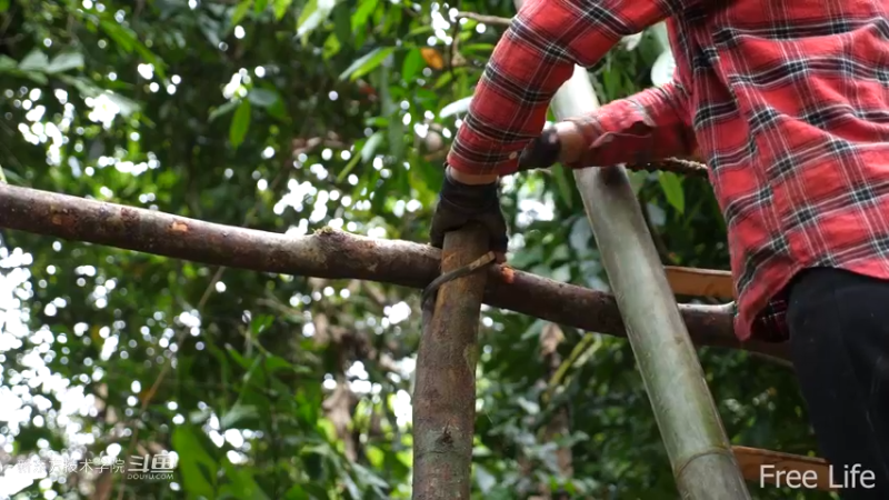 更新1季02小姐姐宅基地10妹子独自深入荒野隐居修仙,建设世外桃源投个币吧