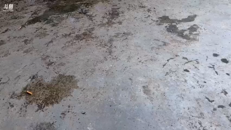 【2021-08-27 12点场】魅力生活i：欢快的一天开始啦