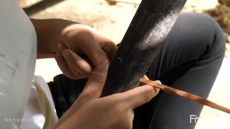 更新1季06自制家具12妹子独自深入荒野隐居修仙,建设世外桃源投个币吧