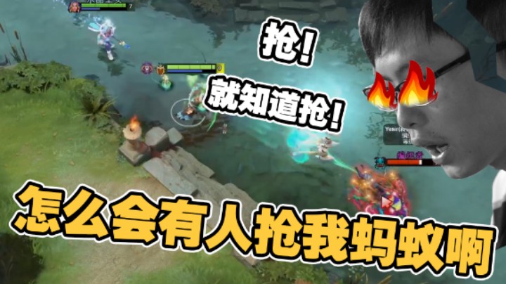 【核桃】怎么会有人抢我蚂蚁啊？！